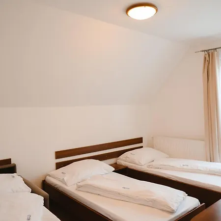 Guest house Levocska Dolina 3*